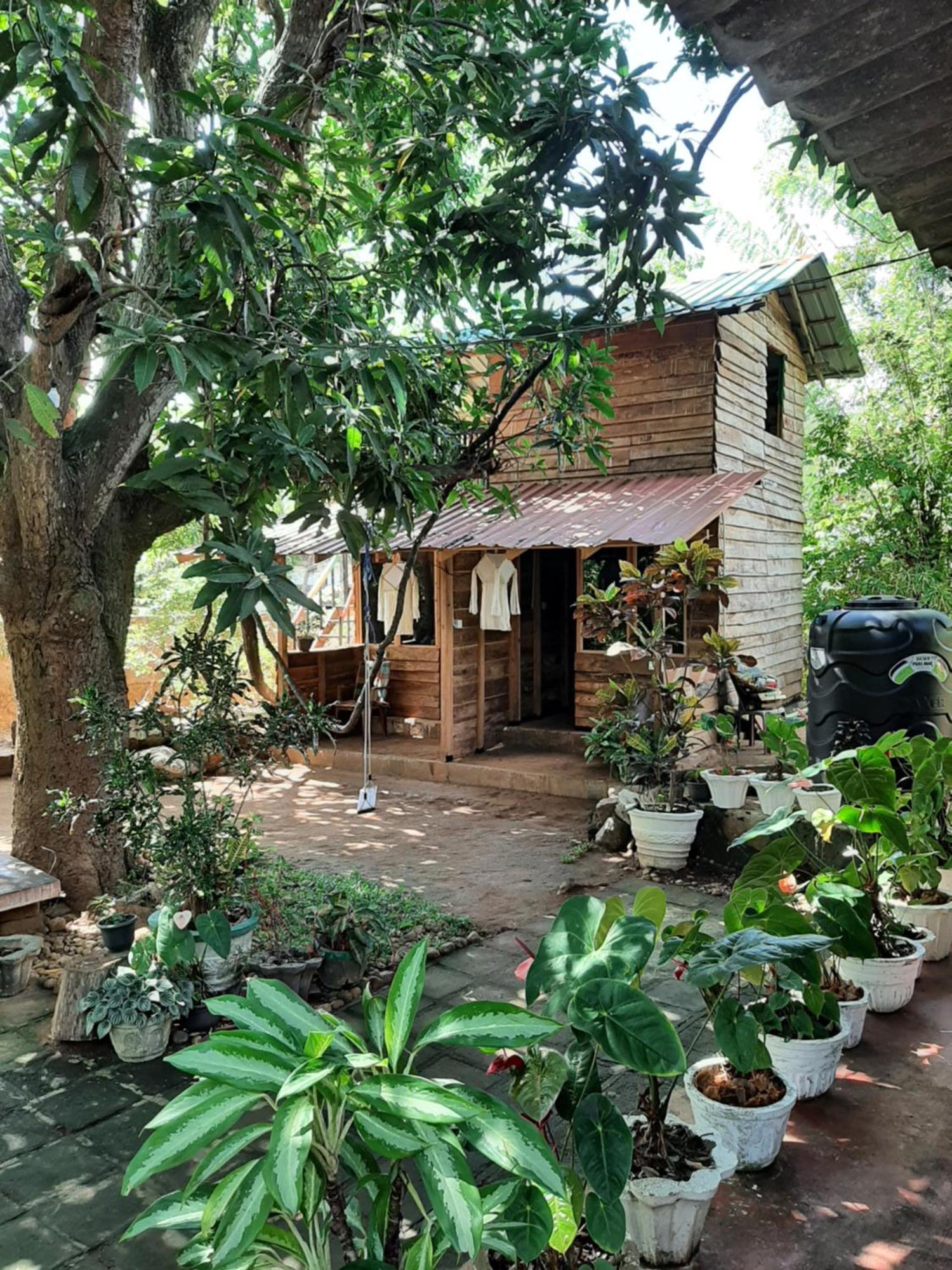 Serenity House In Dambulla Buitenkant foto