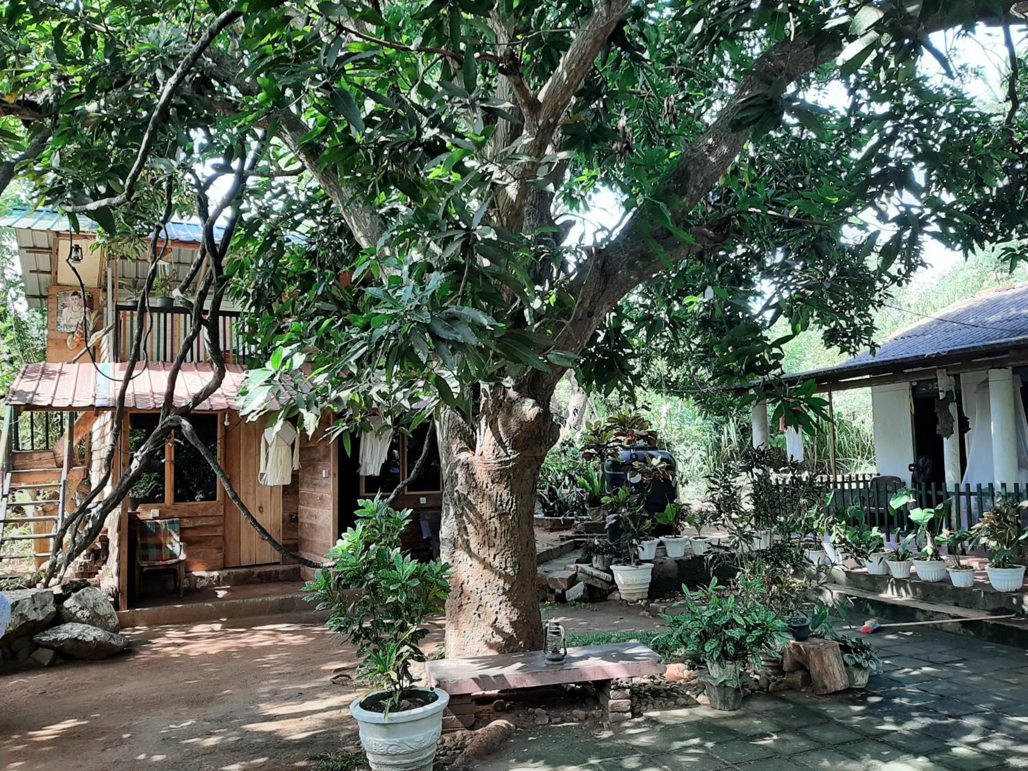 Serenity House In Dambulla Buitenkant foto