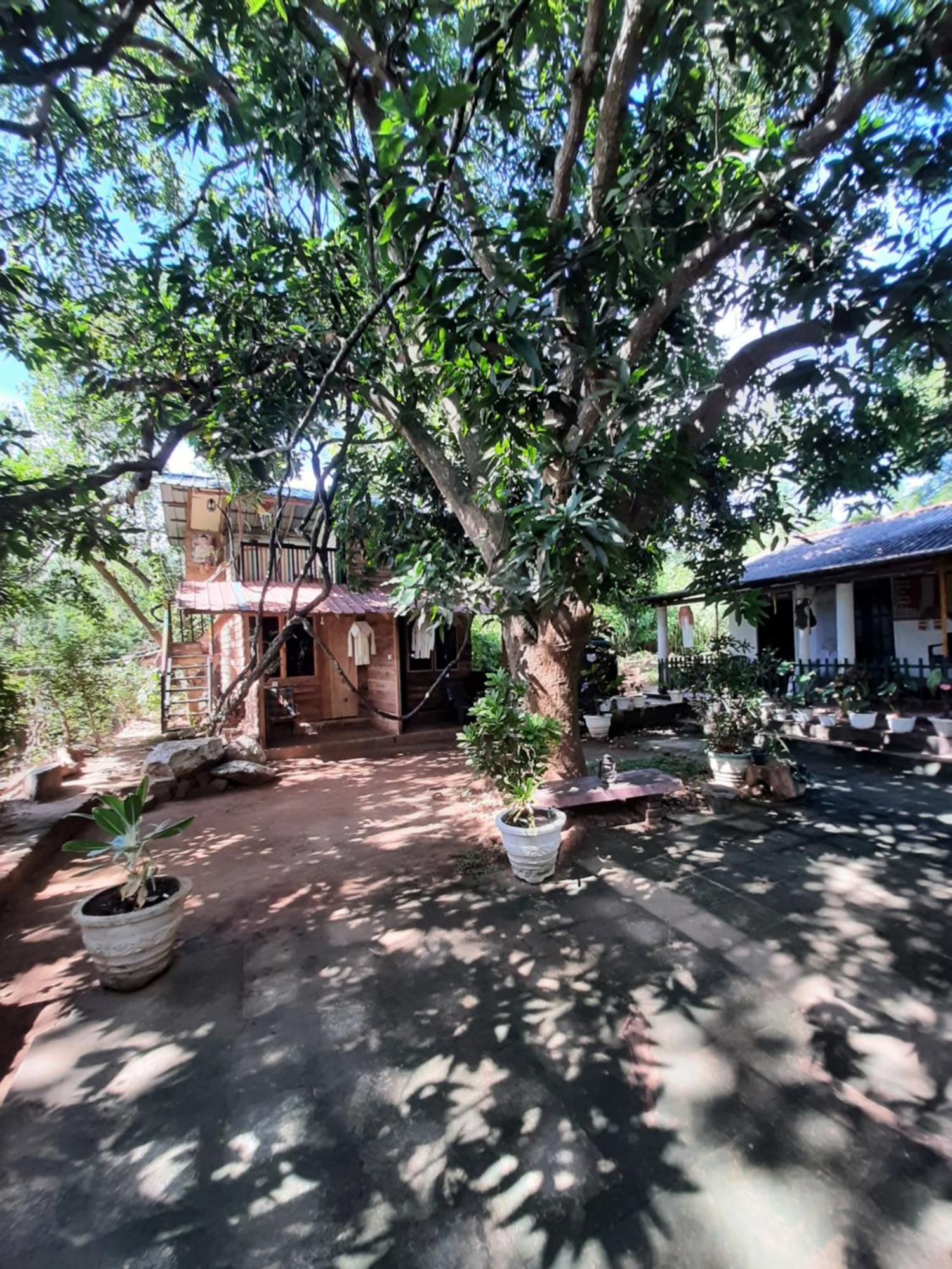 Serenity House In Dambulla Buitenkant foto